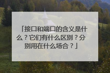 接口和端口的含义是什么？它们有什么区别？分别用在什么场合？