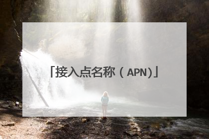 接入点名称(APN)