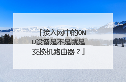 接入网中的ONU设备是不是就是交换机路由器？