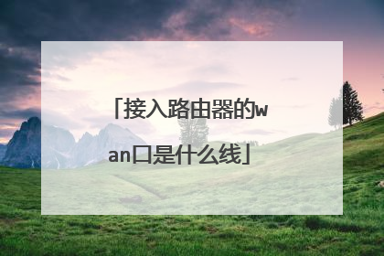 接入路由器的wan口是什么线