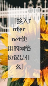 接入Internet使用的网络协议是什么