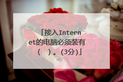 接入Internet的电脑必须装有（ ）。(3分)