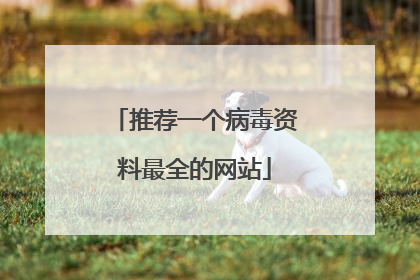 推荐一个病毒资料最全的网站