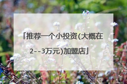 推荐一个小投资(大概在2--3万元)加盟店
