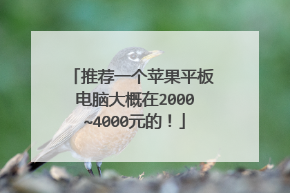 推荐一个苹果平板电脑大概在2000~4000元的!