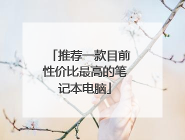 推荐一款目前性价比最高的笔记本电脑