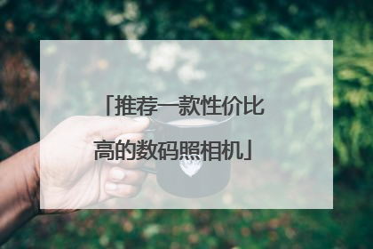 推荐一款性价比高的数码照相机