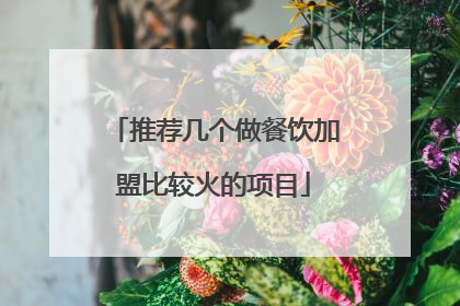 推荐几个做餐饮加盟比较火的项目