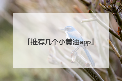 推荐几个小黄油app