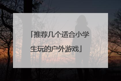 推荐几个适合小学生玩的户外游戏