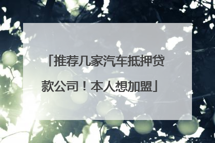 推荐几家汽车抵押贷款公司!本人想加盟