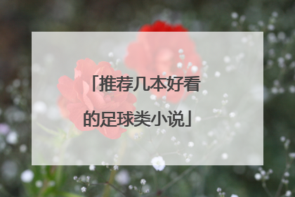 推荐几本好看的足球类小说