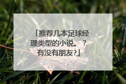 推荐几本足球经理类型的小说。？有没有朋友?