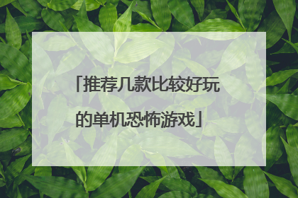 推荐几款比较好玩的单机恐怖游戏