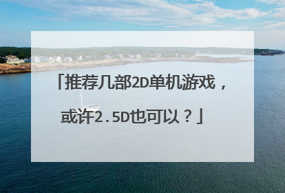 推荐几部2D单机游戏，或许2.5D也可以？
