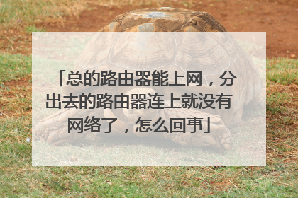 总的路由器能上网，分出去的路由器连上就没有网络了，怎么回事