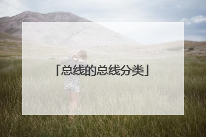 总线的总线分类