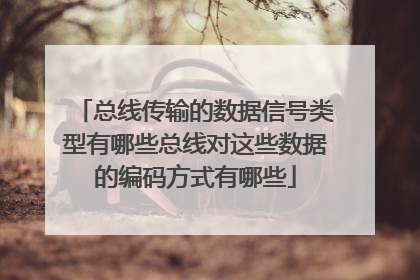 总线传输的数据信号类型有哪些总线对这些数据的编码方式有哪些
