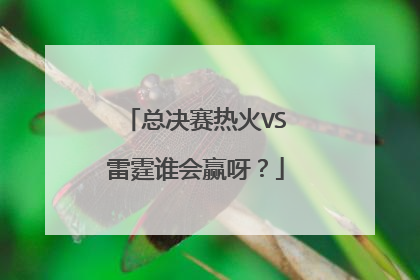 总决赛热火VS雷霆谁会赢呀？