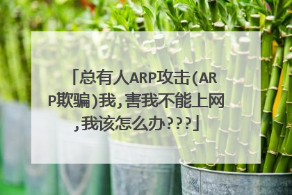 总有人ARP攻击(ARP欺骗)我,害我不能上网,我该怎么办???