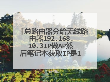 总路由器分给无线路由器192.168.10.3IP做AP然后笔记本获取IP是10.10.1.106,而且上不去网。