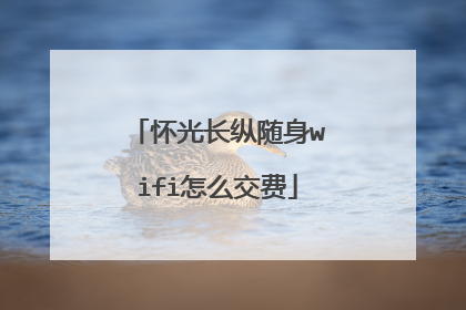 怀光长纵随身wifi怎么交费