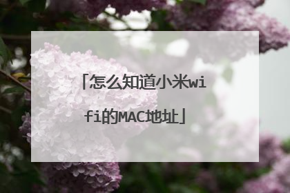 怎么知道小米wifi的MAC地址
