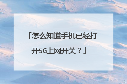 怎么知道手机已经打开5G上网开关?