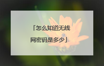 怎么知道无线网密码是多少