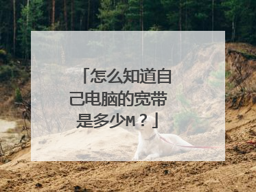 怎么知道自己电脑的宽带是多少M?