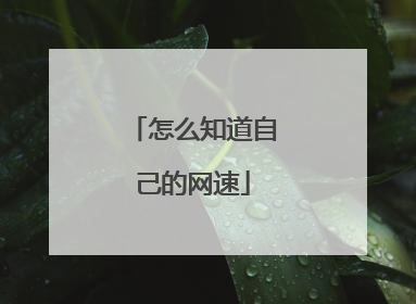 怎么知道自己的网速