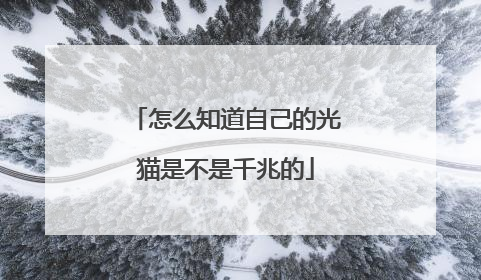 怎么知道自己的光猫是不是千兆的