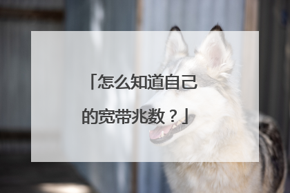 怎么知道自己的宽带兆数？