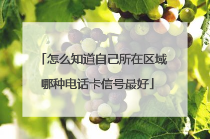 怎么知道自己所在区域哪种电话卡信号最好