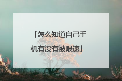 怎么知道自己手机有没有被限速