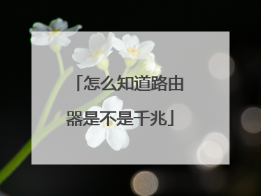 怎么知道路由器是不是千兆