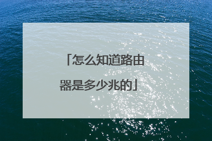 怎么知道路由器是多少兆的