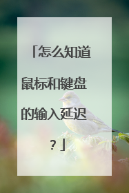 怎么知道鼠标和键盘的输入延迟?