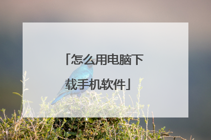 怎么用电脑下载手机软件