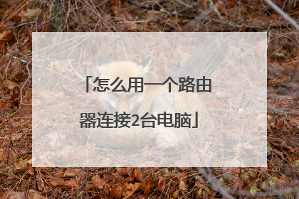 怎么用一个路由器连接2台电脑