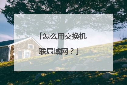 怎么用交换机联局域网？