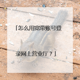 怎么用宽带账号登录网上营业厅?