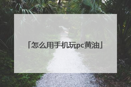 怎么用手机玩pc黄油