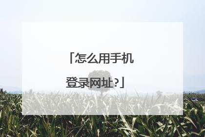 怎么用手机登录网址?