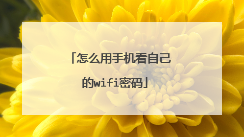怎么用手机看自己的wifi密码