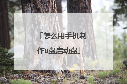 怎么用手机制作U盘启动盘