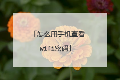 怎么用手机查看wifi密码