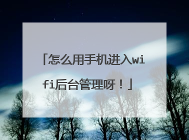 怎么用手机进入wifi后台管理呀!