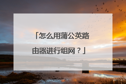 怎么用蒲公英路由器进行组网？