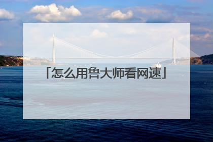 怎么用鲁大师看网速